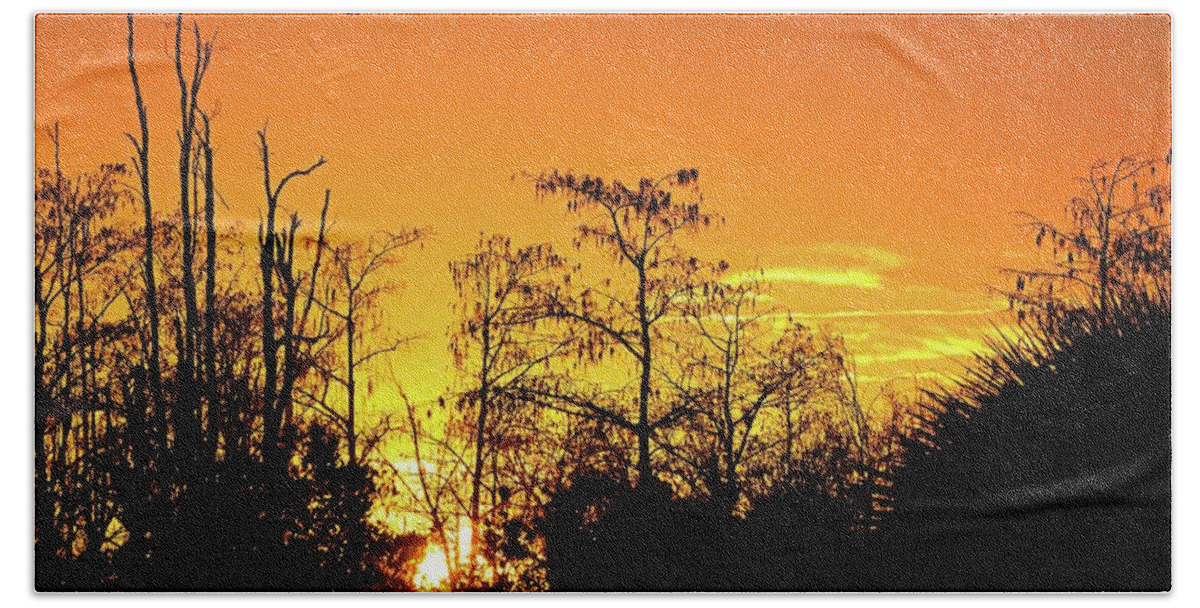 Airplane Beach Towel featuring the photograph Cypress Swamp Sunset 3 by Steve DaPonte
