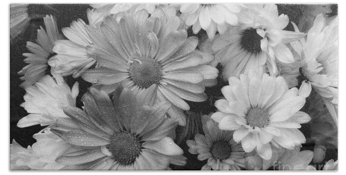 Daisies Beach Towel featuring the photograph Daisy Black White by Mike Eingle