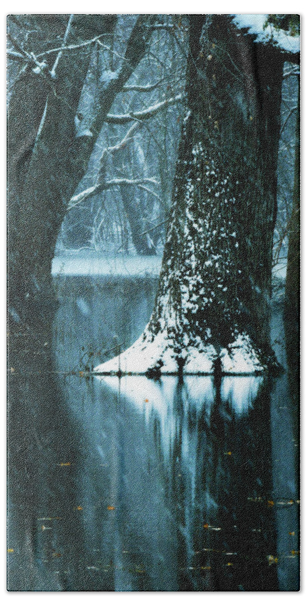 Water Beach Towel featuring the photograph Dark Forest Reflections by Sandra J's