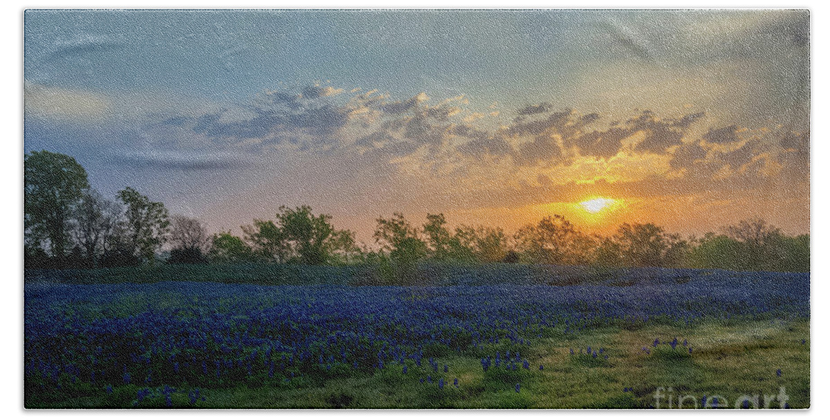 Bluebonnets Beach Towel featuring the photograph Daybreak In The Land Of Bluebonnets by Mark Alder