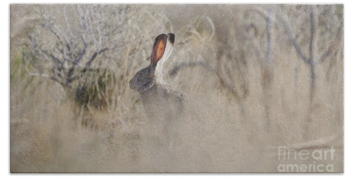 Desert Rabbit Beach Towel featuring the photograph Desert Bunny by Robert WK Clark