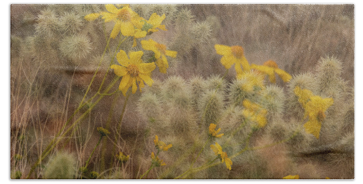 Desert Beach Towel featuring the photograph Desert Spring Whispers by Sue Cullumber