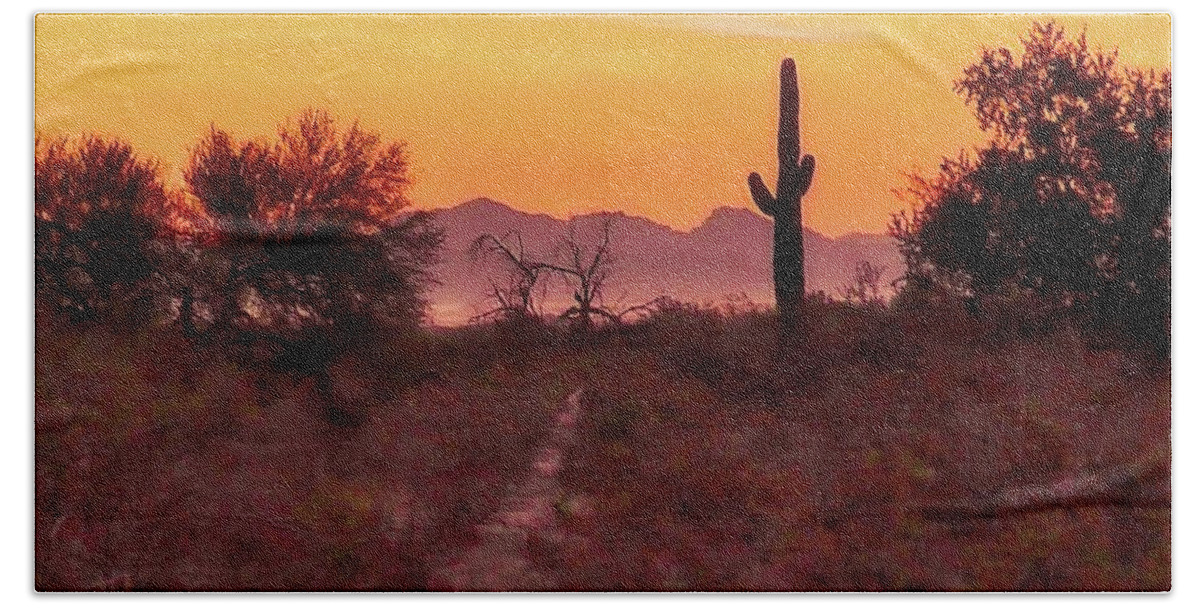 Affordable Beach Towel featuring the photograph Desert Sunrise Trail by Judy Kennedy