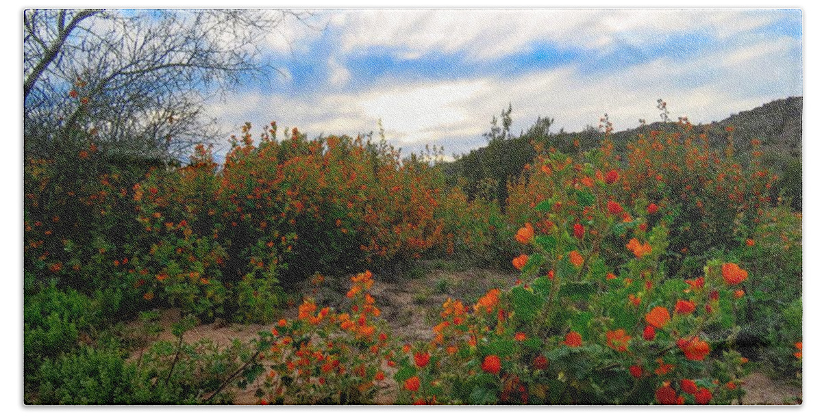 Arizona Beach Towel featuring the photograph Desert Wildflowers in the Valley by Judy Kennedy