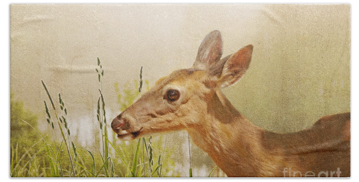 White Tailed Deer Beach Towel featuring the photograph Doe at Dawn by Laura D Young