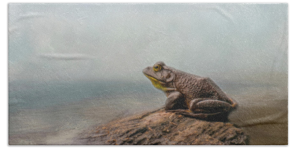 Frog Beach Towel featuring the photograph Dreaming by Cathy Kovarik
