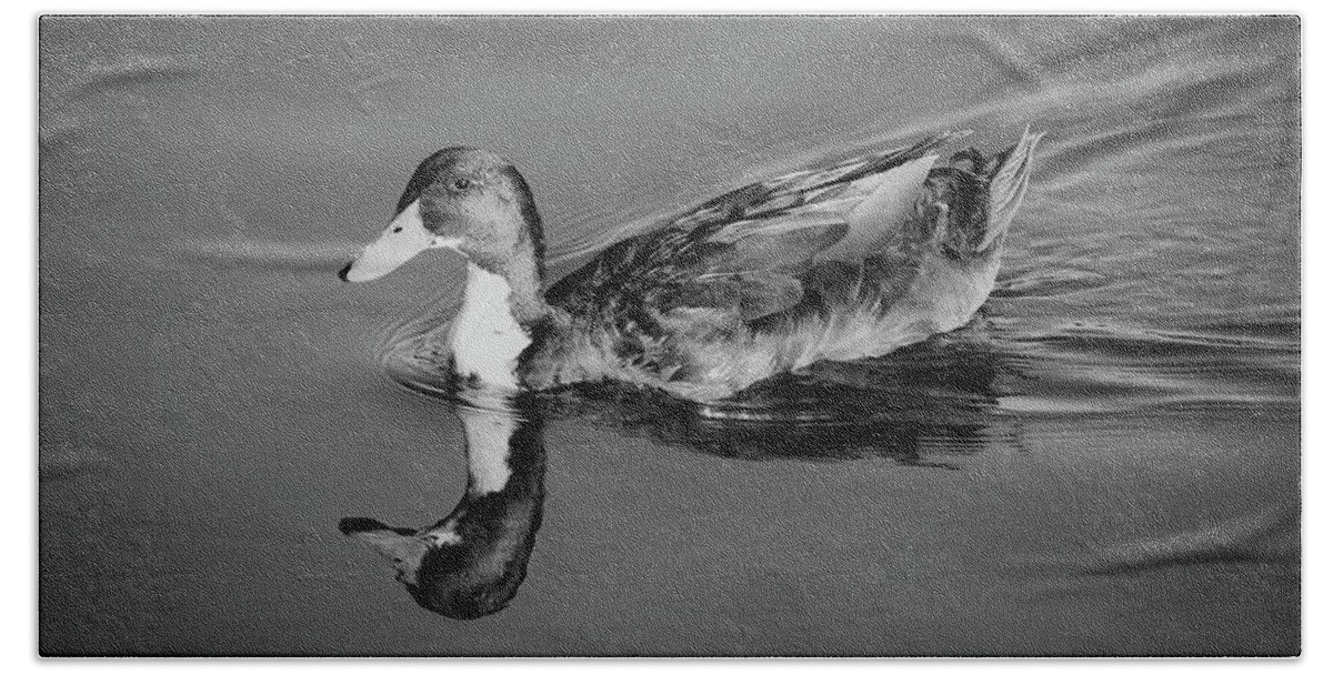 Duck Beach Towel featuring the photograph Duck in Black and White by Alison Frank