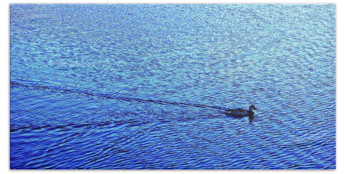 Water Beach Towel featuring the photograph Duck on blue lake by Martin Smith