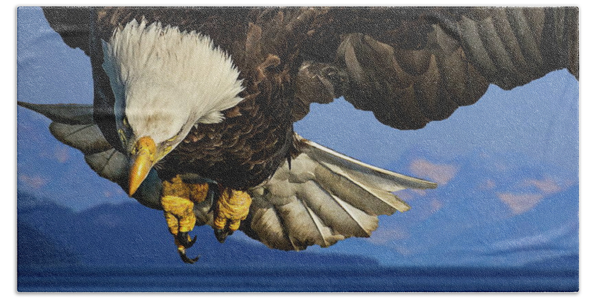 Eagle Beach Towel featuring the photograph Eagle Fishing in Glacier Bay Alaska by Russ Harris