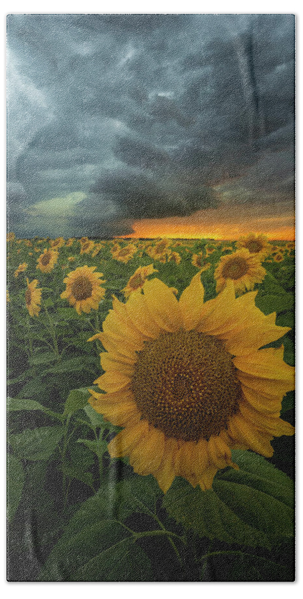 Sunflowers Beach Towel featuring the photograph Eccentric by Aaron J Groen