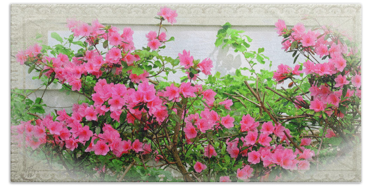 Azalea Beach Sheet featuring the photograph Elegant Floral by Constance Lowery