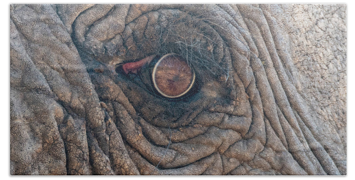 Elephant Beach Towel featuring the photograph Elephant Eye by Mark Hunter