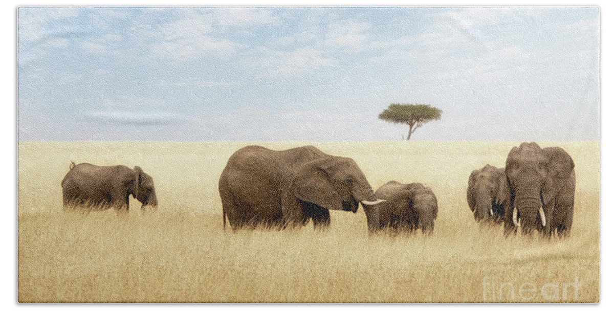 Elephant Beach Towel featuring the photograph Elephant group in the grassland of the Masai Mara by Jane Rix