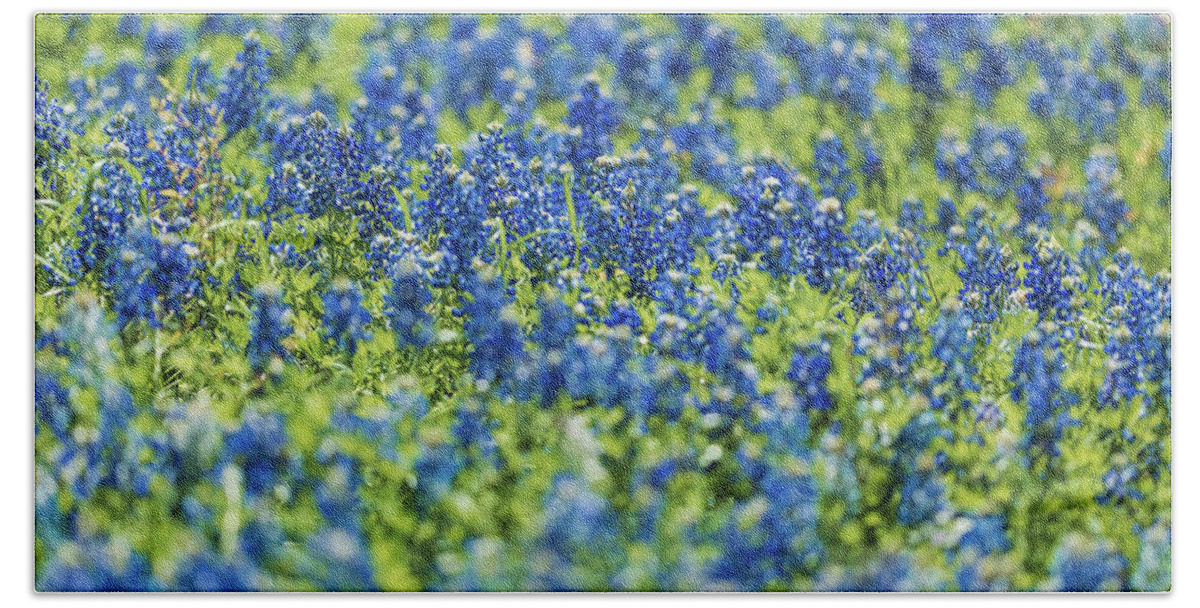 Texas Beach Towel featuring the photograph Ennis Bluebonnets by Peter Hull