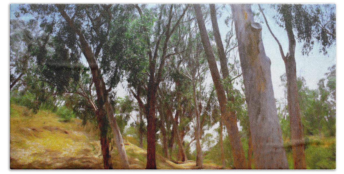 Trees Beach Towel featuring the digital art Eucalyptus Grove Oil Painting by Alison Frank