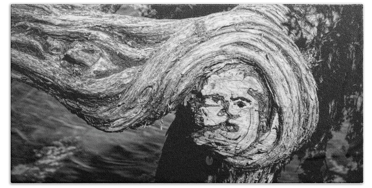 Photography Beach Towel featuring the photograph Face Like Image On A Gnarled New by Panoramic Images