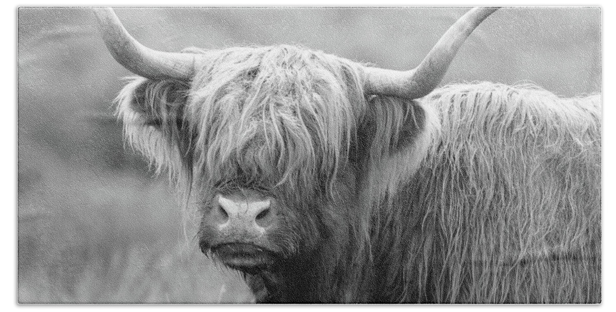 Highland Cow Beach Sheet featuring the photograph Face-to-face with a Highland Cow - black and white by Maria Gaellman