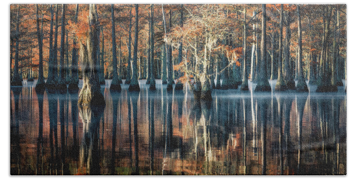 Abstract Beach Towel featuring the photograph Fall at Cypress Lake by Alex Mironyuk