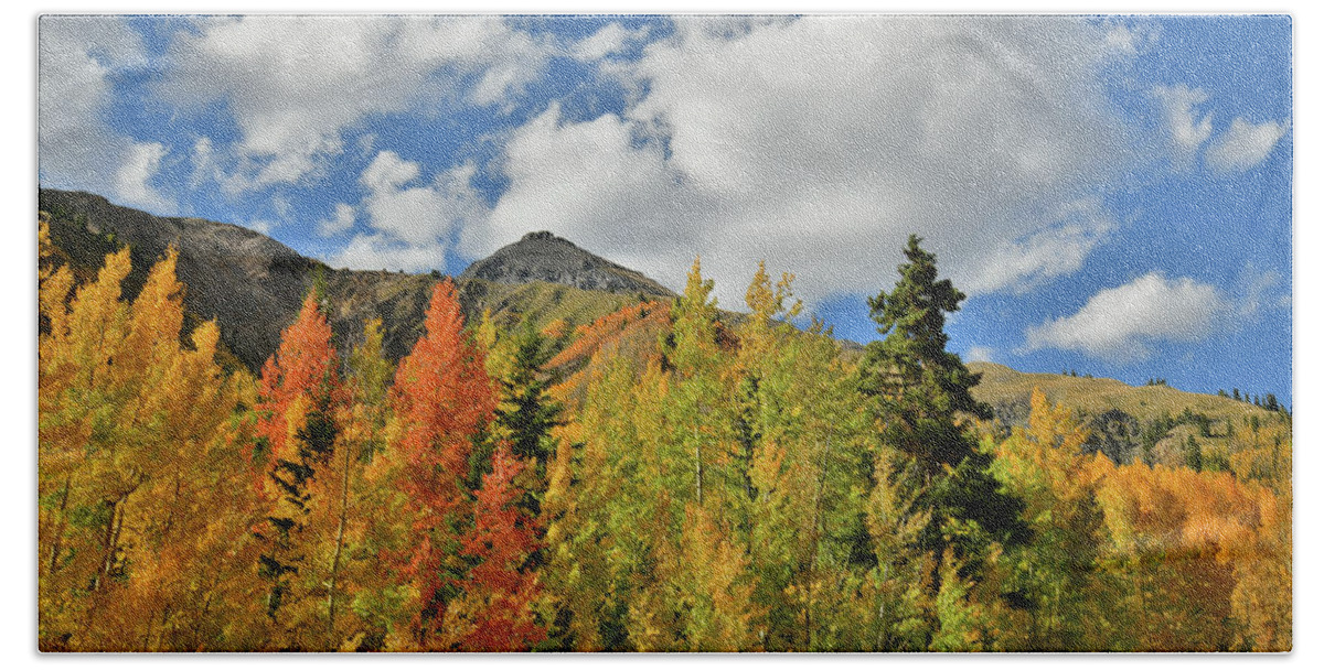 Colorado Beach Sheet featuring the photograph Fall Colored Aspens Bask in Sun at Red Mountain Pass by Ray Mathis