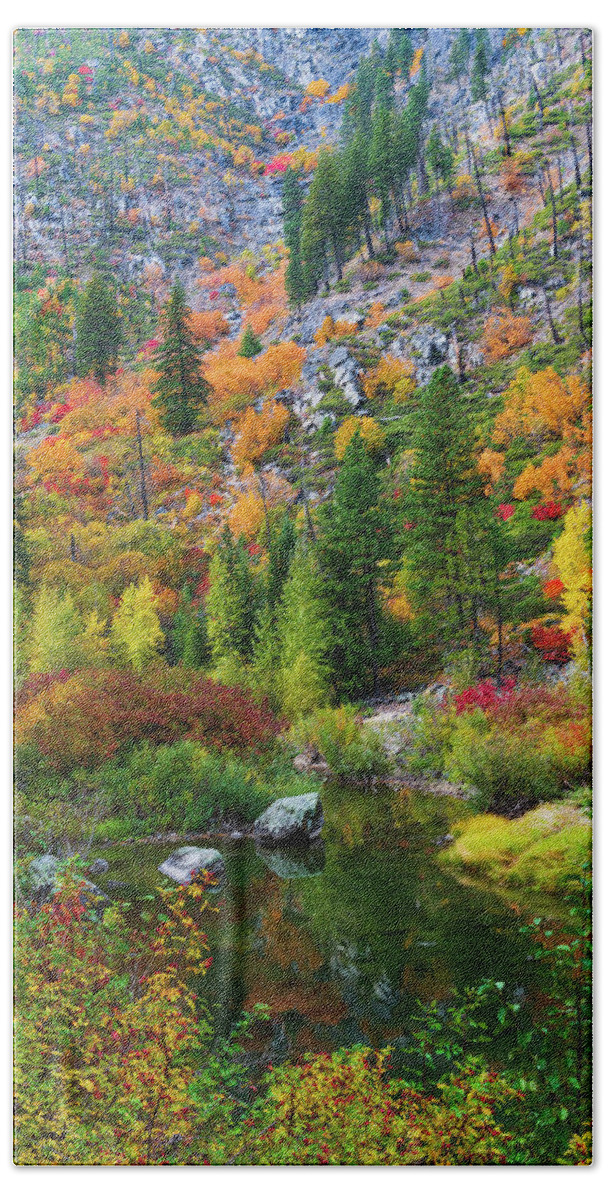 Outdoor; Fall; Colors; Fall Colors; Yakima River; Lake Wenatchee Beach Towel featuring the digital art Fall colors at Tumwater Canyon WA by Michael Lee