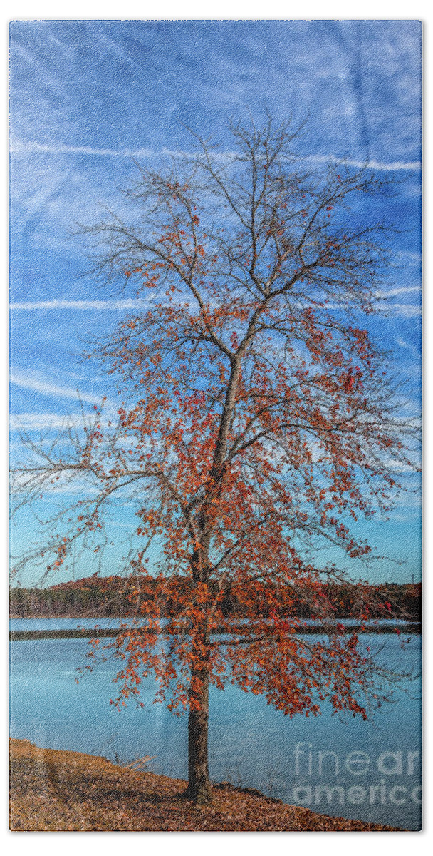 Sweetwater-creek Beach Towel featuring the photograph Fall in Sweetwater Creek by Bernd Laeschke