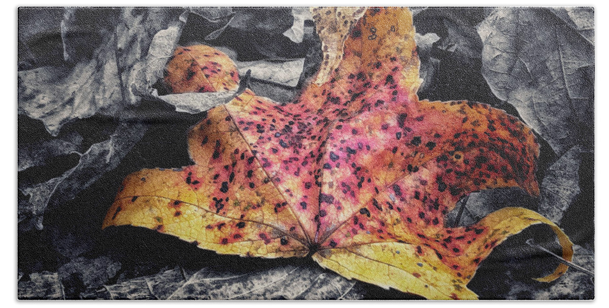 Leaf Beach Towel featuring the photograph Fallen Beauty by Andrea Platt