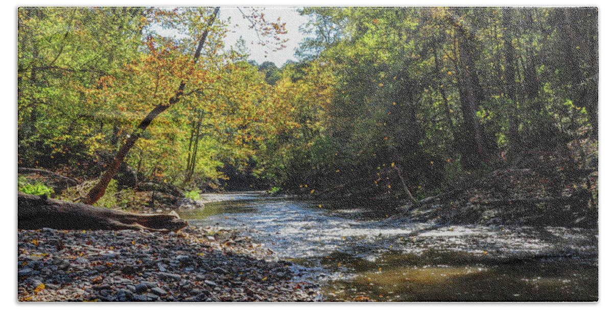 Falling Beach Towel featuring the photograph Falling Leaves - Wissahickon Creek by Bill Cannon