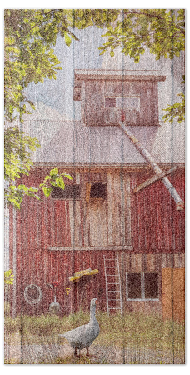 Barn Beach Towel featuring the photograph Farmgoose in Wood Textures by Debra and Dave Vanderlaan