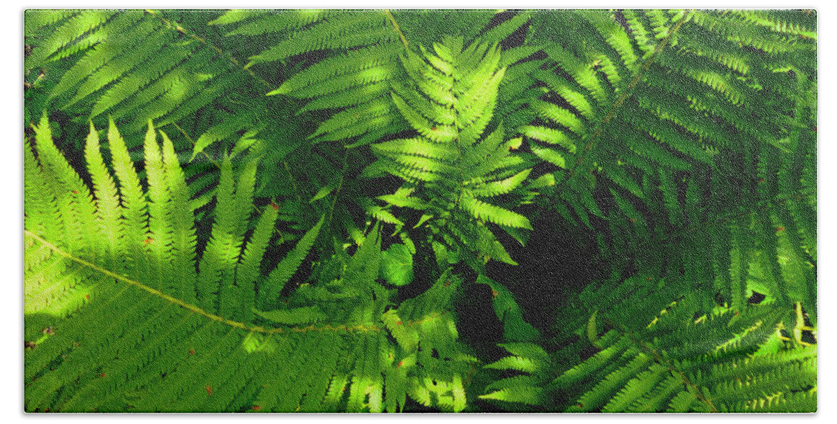 Green Beach Towel featuring the photograph Fern by Mike McBrayer