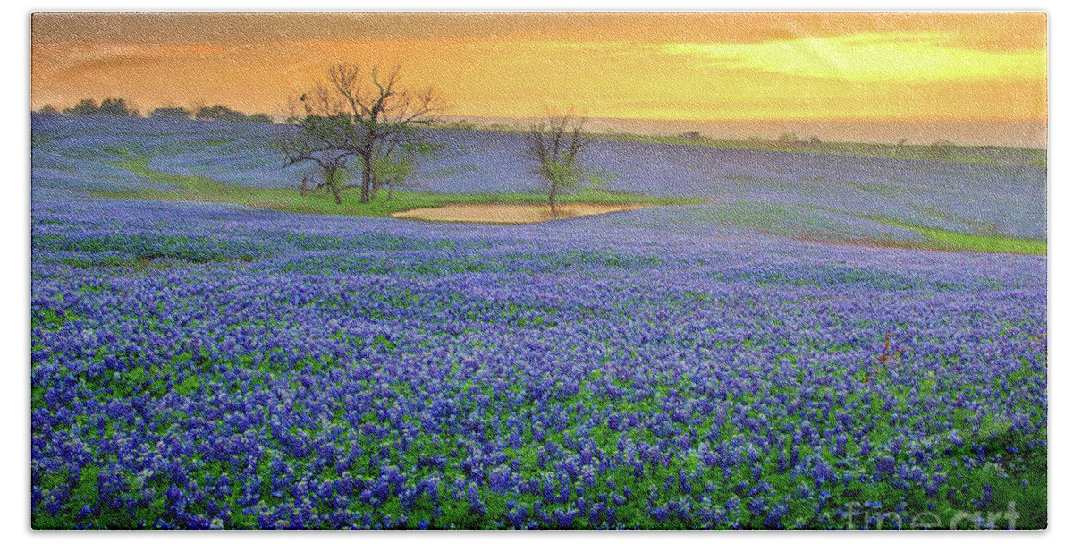 Texas Bluebonnets Beach Towel featuring the photograph Field of Dreams Texas Sunset - Texas Bluebonnet wildflowers landscape flowers by Jon Holiday