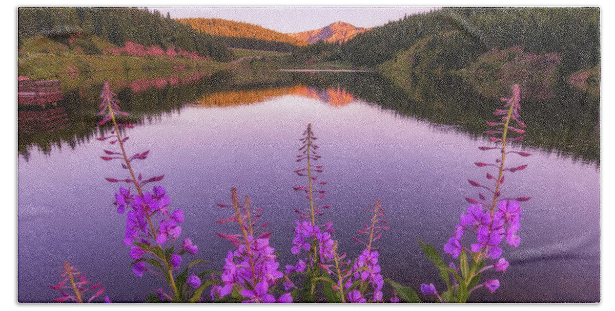 Colorado Beach Sheet featuring the photograph Fireweed Sunset by Darren White