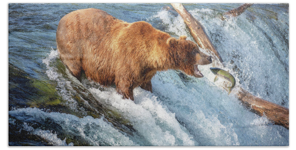 Alaska Beach Towel featuring the photograph Fish coming straight to grizzly - 2 by Alex Mironyuk