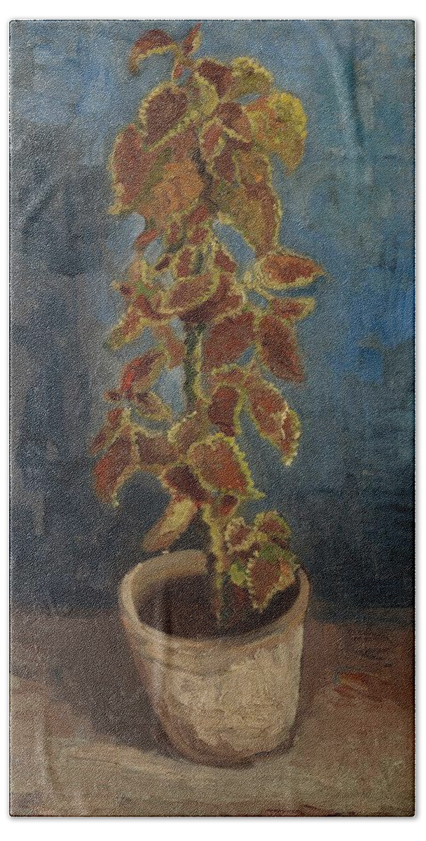 Oil On Canvas Beach Towel featuring the painting Flame Nettle in a Flowerpot. by Vincent van Gogh -1853-1890-