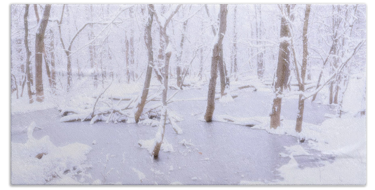 Trees Beach Towel featuring the photograph Flooded trees in the snow by Karen Smale