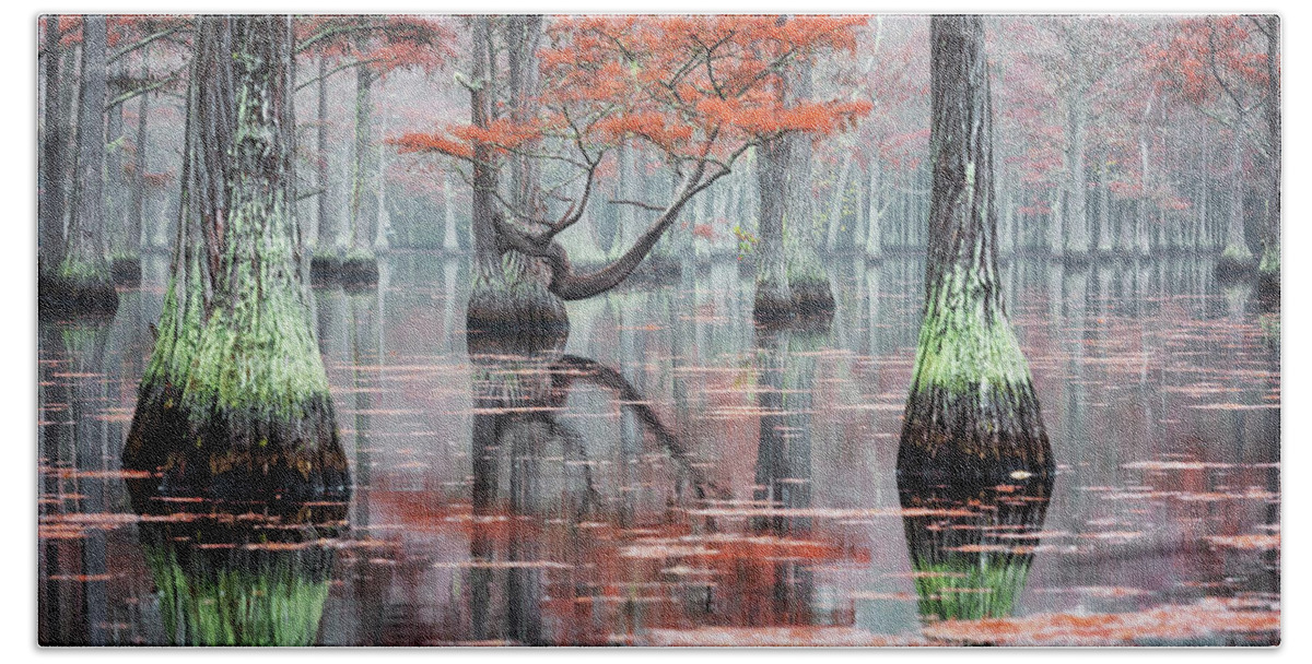 Abstract Beach Towel featuring the photograph Foggy Morning at the Cypress Lake - 3 by Alex Mironyuk