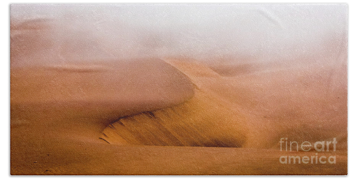 Namib Beach Towel featuring the photograph Foggy Namib Desert by Lyl Dil Creations