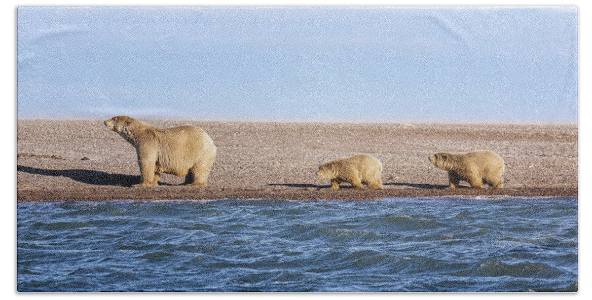 Arctic Beach Sheet featuring the photograph Follow Me Kids by Juli Ellen