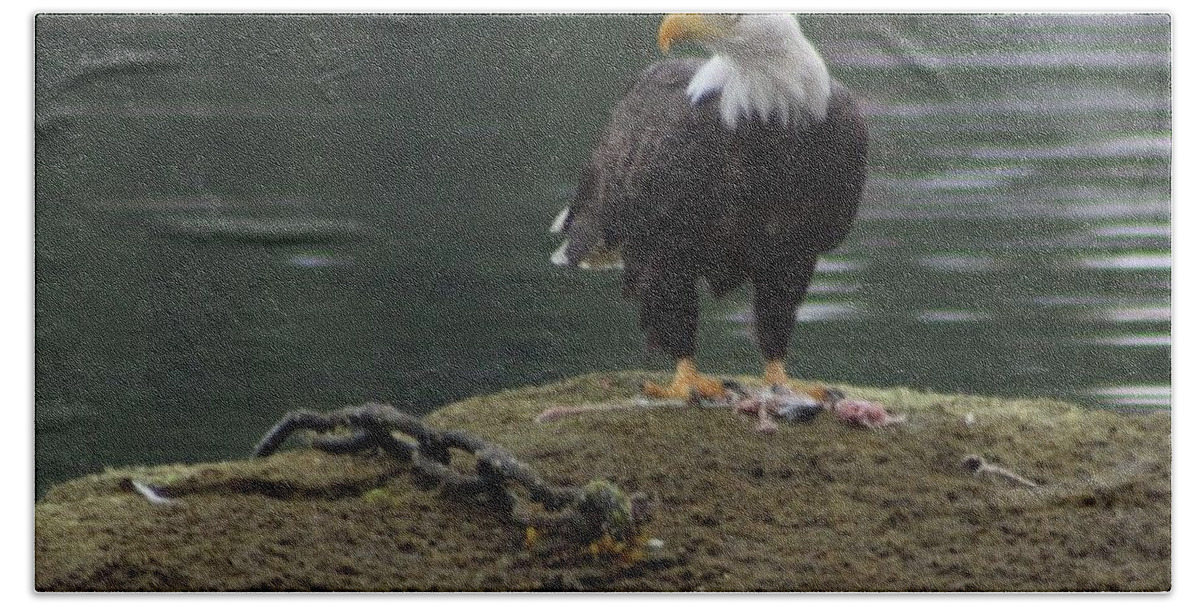 Eagle Beach Towel featuring the photograph Freedom unchained by Fred Bailey