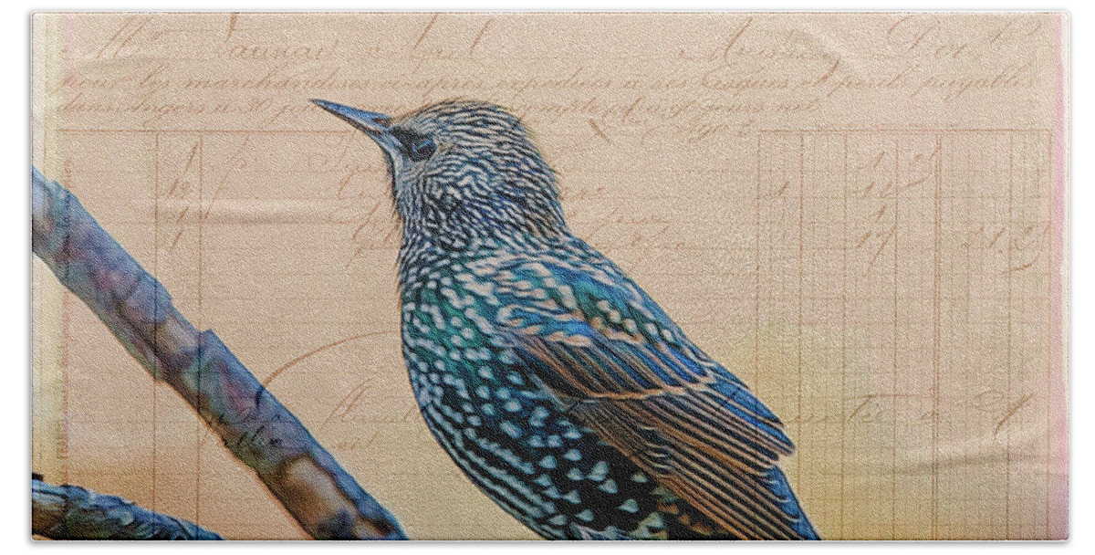 Bird Beach Towel featuring the photograph French Starling by Cathy Kovarik