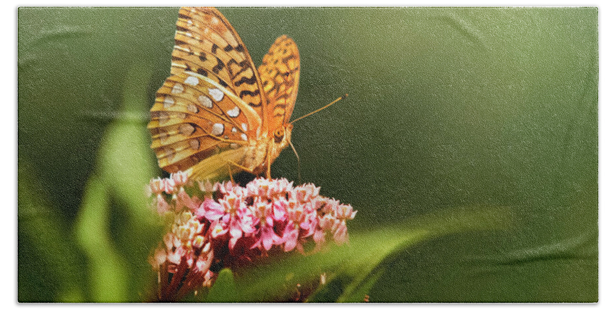 Butterfly Beach Towel featuring the photograph Fritillary butterfly On Pink Milkweed Flower by Christina Rollo