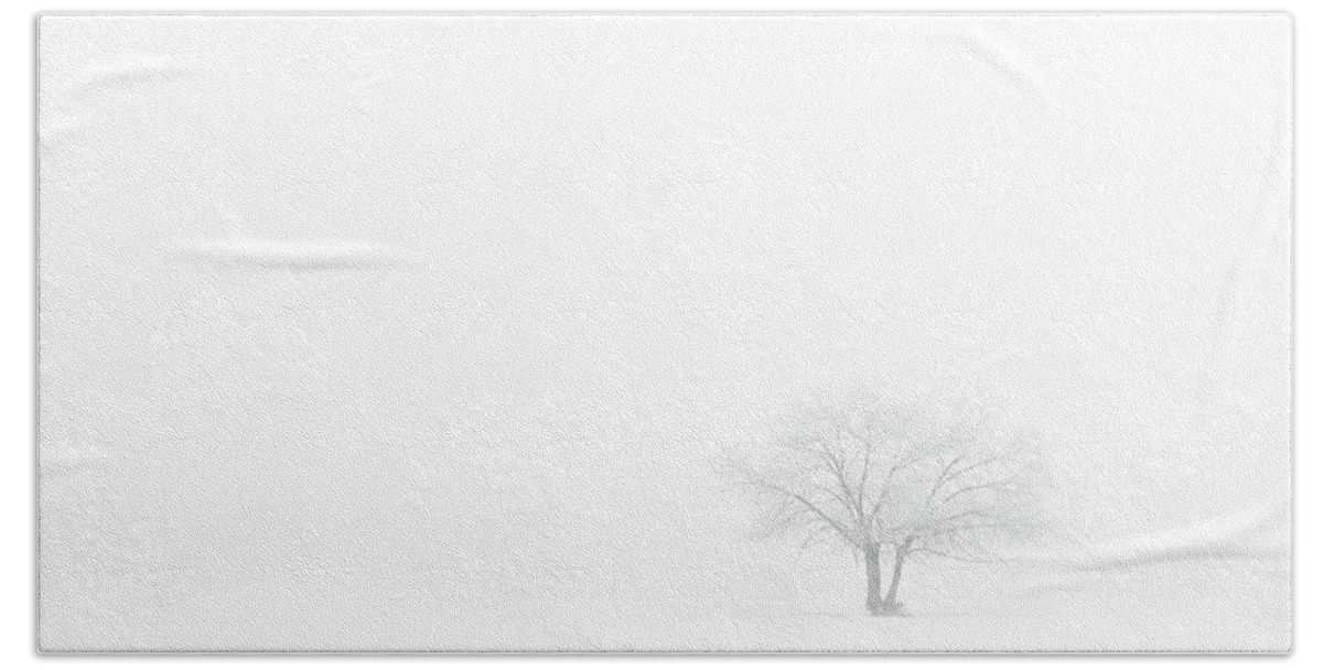 Winter Beach Sheet featuring the photograph Frosted Tree by Darren White