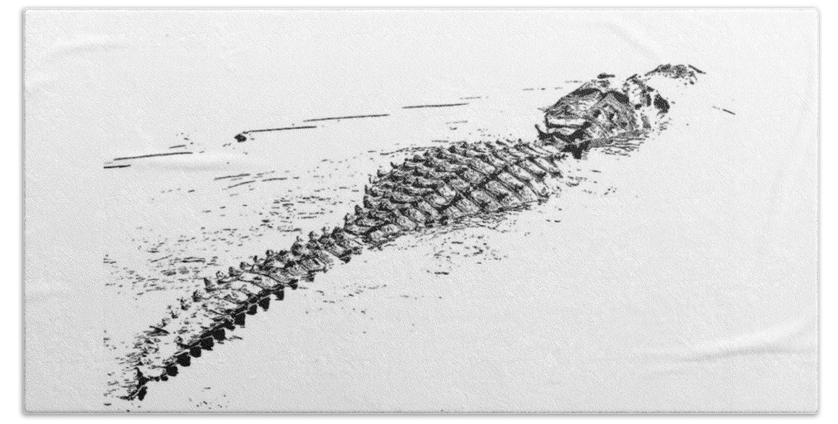 Alligator Beach Towel featuring the photograph Gator Crossing by Michael Allard