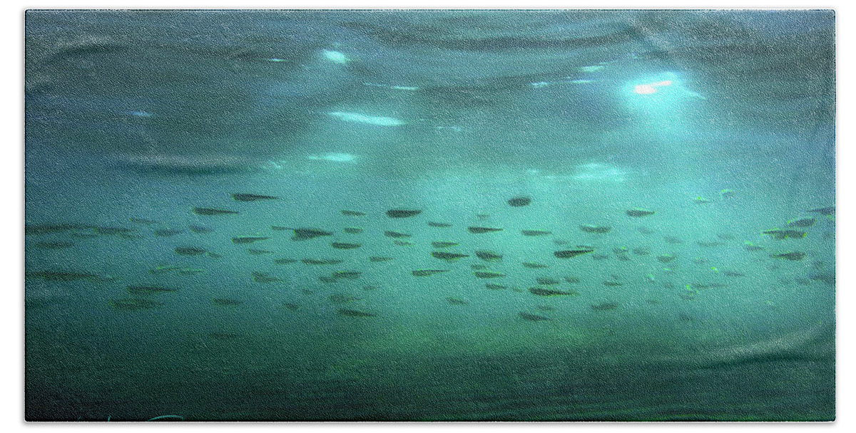 Underwater Beach Towel featuring the photograph Genesis by Meir Ezrachi