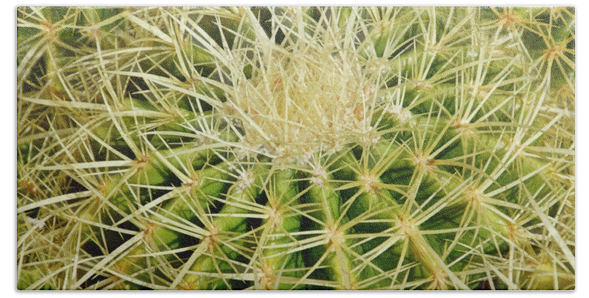 Giant Barrel Cactus Beach Towel featuring the photograph Geometry of Spines II by Leda Robertson
