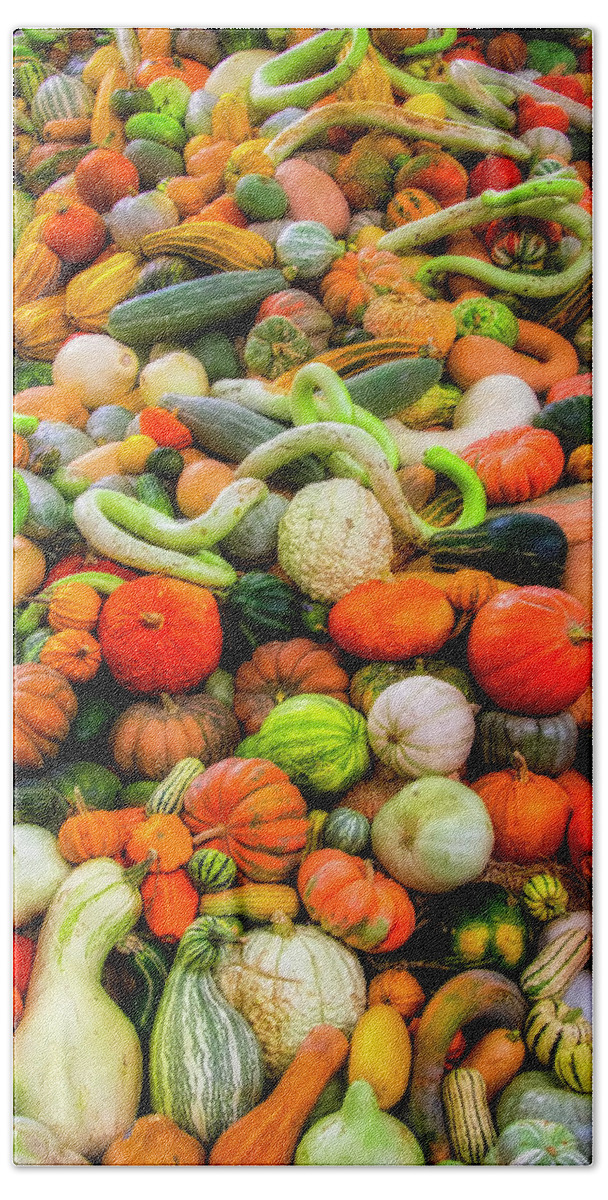 Mountain Beach Towel featuring the photograph Giant Pile Of Pumpkins Gourds by Garry Gay