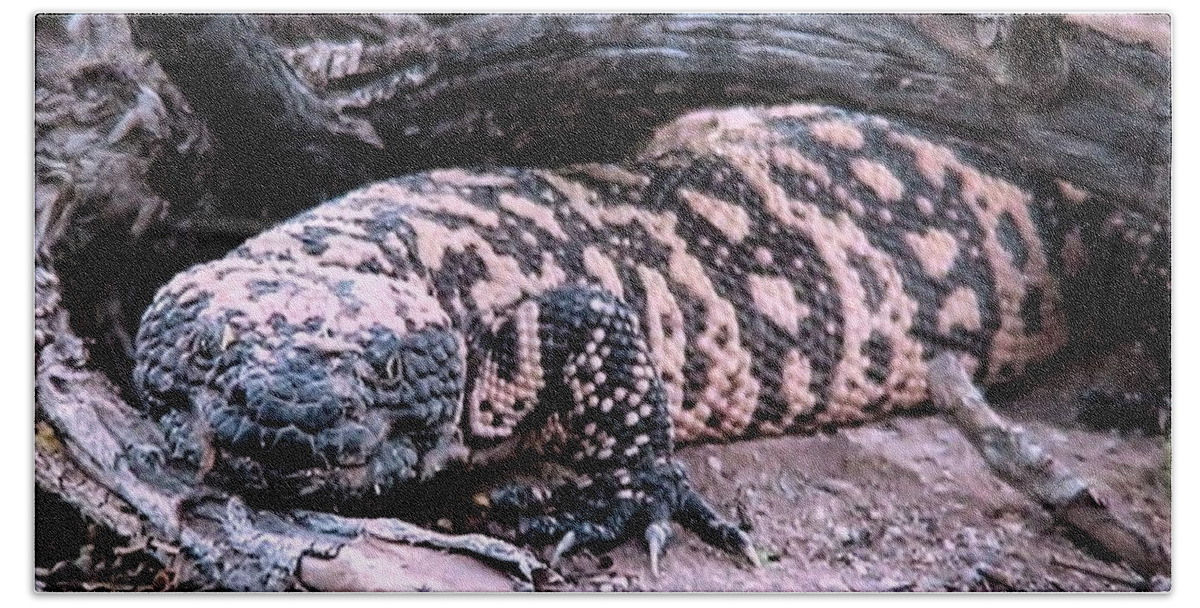 Animals Beach Towel featuring the photograph Gila Monster Under Creosote Bush by Judy Kennedy