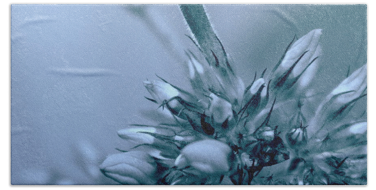 Pale Blue Flower Pastel Profile Blurry Background Macro Beach Sheet featuring the mixed media Glance by Elfriede Fulda