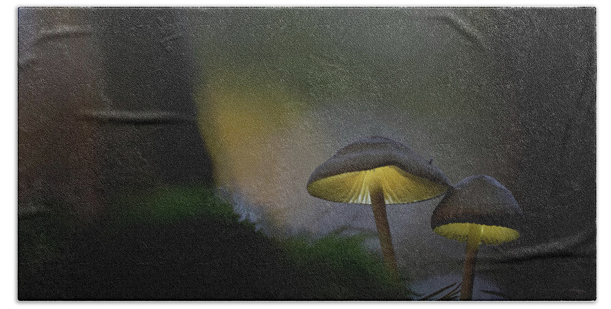 Autumn Beach Towel featuring the photograph Glowing in the dark forest a fairy tale mushroom by Dirk Ercken