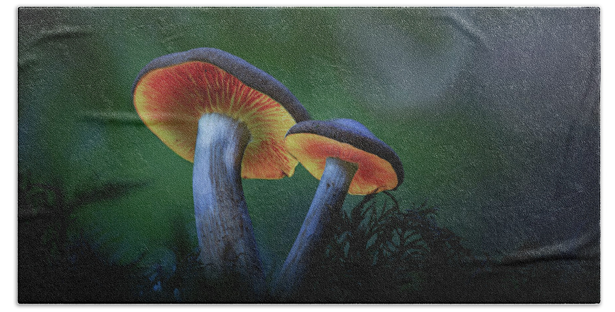Autumn Beach Towel featuring the photograph Glowing mushroom lanterns - enchanted autumn forest by Dirk Ercken
