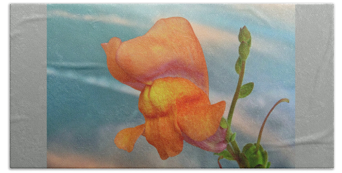 Snapdragon Beach Towel featuring the photograph Golden Snapdragon by Terence Davis